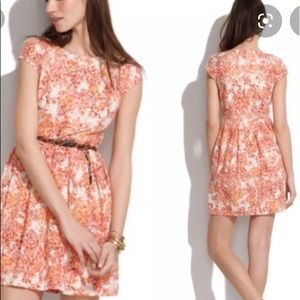 Madewell Watercolor Painted Lacebloom dress